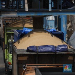 Harga Gula Dunia Menggila! India Biang Kerok, RI Bahaya
