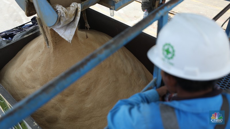 Pekerja melakukan aktivitas bongkar muat gula kristal merah (rafinasi) dari India sebanyak 2.000 ton di Pelabuhan Tanjung Priok, Jakarta, Kamis (11/5/2023). Pekerja melakukan aktivitas bongkar muat gula kristal merah (rafinasi) dari India sebanyak 2.000 ton di Pelabuhan Tanjung Priok, Jakarta, Kamis (11/5/2023). (CNBC Indonesia/Tri Susilo)