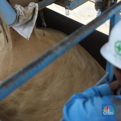Intip Potret Bongkar Muat 2.000 Ton Gula Merah Kristal India