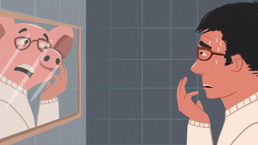 Tak Nyangka, Babi Punya Banyak Kesamaan dengan Manusia