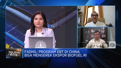 Ekonomi China Melambat, Harga Batu Bara Hingga CPO Terancam?