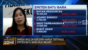 Harga Batubara Anjlok Hingga 60%, Nasib Emitennya Gimana?