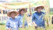 Panen Beras Organik, PTBA Wujudkan Pertanian Ramah Lingkungan