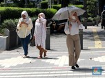 Mendidih! Suhu Terpanas Minimum RI Hari Ini Lebih 34 Derajat