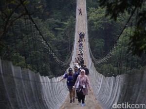 Daya Tarik Situ Gunung Suspension Bridge, Jembatan Gantung Terpanjang di Asia Tenggara