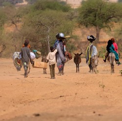 Ngeri! 15.000-an Warga Sudan Terbunuh Akibat Kekerasan