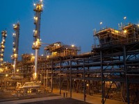 Transisi Energi, PGAS Beberkan Rencana Strategis Tahun Ini