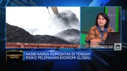 Ekonomi Dunia Melemah, Koreksi Harga Batu Bara Cs Berlanjut?