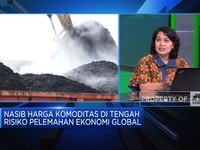 Ekonomi Dunia Melemah, Koreksi Harga Batu Bara Cs Berlanjut?