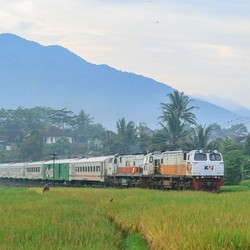 Kereta Semi Cepat Jakarta-Surabaya 5,5 Jam Jokowi Batal
