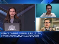 Neraca Dagang Diramal Surplus, Komoditas Masih Jadi Andalan?