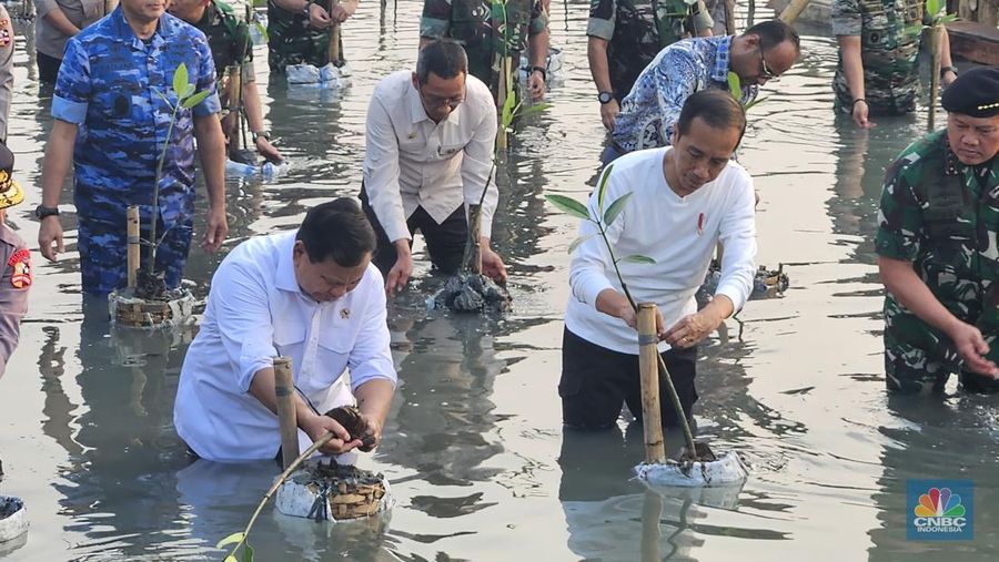 Presiden Joko Wisodo melakukan penanaman Mangrove secara nasional tahun 2023, di Taman Wisata Alam (TWA) Angke Kapuk, Jakarta Utara, Senin (15/5/2023). Presiden berpesan kepada semua untuk terus menjaga mangrove hasil yang ditanam. (CNBC Indonesia/Emir Yanwardhana)