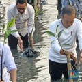 Sah! Jokowi Terbitkan Aturan Percepatan Persemaian di Pertambangan