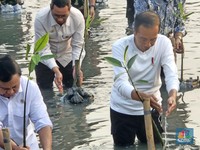 Sah! Jokowi Terbitkan Aturan Percepatan Persemaian di Pertambangan