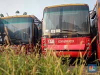 Penampakan 'Kuburan' Ratusan Bus TransJakarta