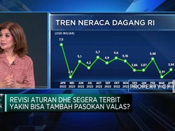 Kebut Revisi Aturan DHE, Yakin Pasokan Valas Lebih Optimal?