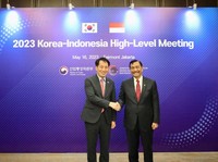 Rayu Korsel, Luhut Mau RI Serbu Negara-negara Setir Kanan