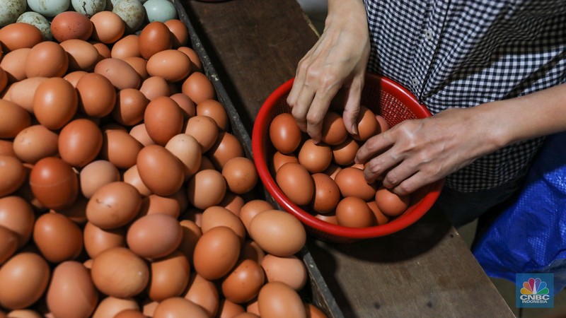 Penjual menata telur ayam di Pasar Tebet, Jakarta Selatan, Selasa (16/5/2023). (CNBC Indonesia/Faisal Rahman)