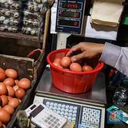 Harga Telur Meledak, Ternyata Kata Zulhas Ini Biang Keroknya