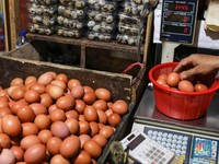 Harga Telur Tak Terkendali, Ternyata Ini Biang Keroknya