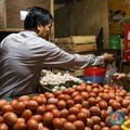 Banyak yang Tak Tahu, Telur Rebus Punya Segudang Manfaat Ini