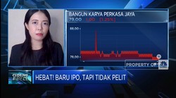 Baru IPO Tapi Tidak Pelit Bagi Dividen, Saham Prospek Nih?