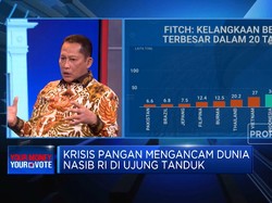 Buwas Ungkap "Keterbatasan" Peran Bulog Jaga Ketahanan Pangan