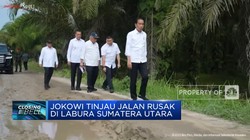 Jokowi Tinjau Jalan Rusak di Labura Sumatera Utara