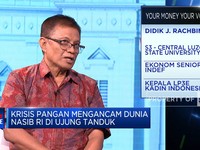 Ekonom Nilai Kebijakan Pangan Era Jokowi Tak Serius, Kenapa?