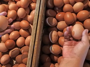 Harga Sembako Jogja Hari Ini 12 Desember 2024: Telur Ayam Ras Naik Lagi!