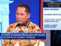 Jaga Stok & Harga Pangan, RI Impor Beras Cs Sudah Tepat?