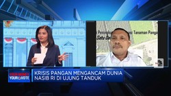 Lumbung Pangan Jokowi Dinilai 