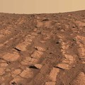 NASA Temukan Tanda Kehidupan Paling Jelas di Mars, Cek Faktanya