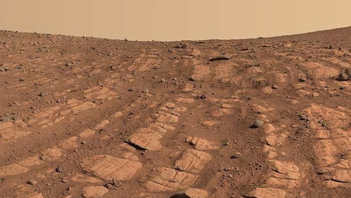 Misi Impian: NASA Buka Lowongan untuk Penerbangan ke Mars! Ini Syaratnya