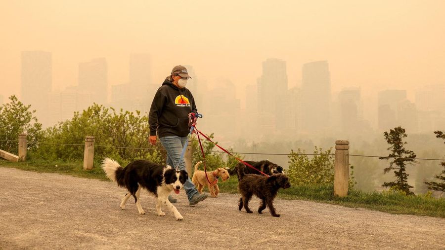 Asap mengepul dari kebakaran Stoddart Creek di dekat Fort St. John, British Columbia, Kanada 13 Mei 2023. (B.C.Wildfire Service/Handout via REUTERS)