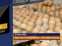 Eropa Jegal Sawit & Kopi RI Hingga Utang Global Meledak!