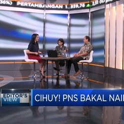Video: Pemerintah Usul PNS Bakal Naik Gaji, Sudah Tepat?