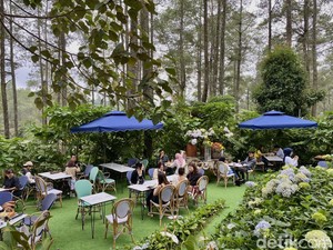 5 Kafe Estetik di Bandung Berkonsep Taman Bunga yang Cantik