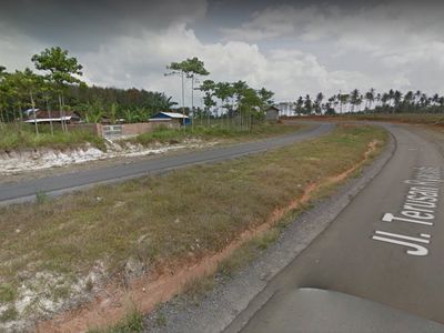 Google Maps Punya Mesin Waktu, Begini Cara Intip Jalanan di Masa Lalu
