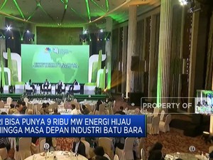 RI Bisa Punya 9 Ribu MW Energi Hijau