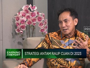 Bos Antam Buka-bukaan Proyek Baterai US$ 6 Miliar