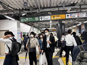 Bakteri Pemakan Daging Ada di Mana-mana, Kenapa STSS Melonjak di Jepang?