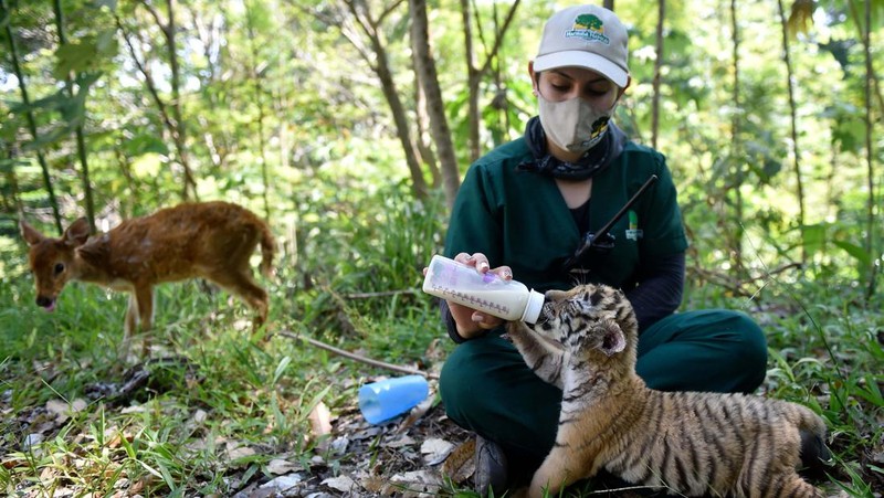Rumah gembong narkoba terkaya dunia disulap jadi taman bermain. (AFP via Getty Images)