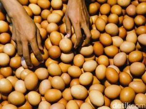 Harga Sembako Jogja Hari Ini 10 Desember 2024: Telur Ayam Ras Naik Lagi!