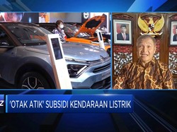 Banyak Kritik, Subsidi Kendaraan Listrik Bakal Direvisi?