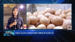 Harga Telur Di Jabodetabek Naik, Kok Bisa?