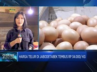 Harga Telur Di Jabodetabek Naik, Kok Bisa?