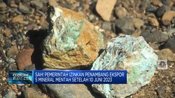 Sah! Pemerintah Izinkan Ekspor 5 Mineral Mentah