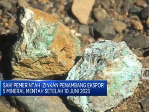 Sah! Pemerintah Izinkan Ekspor 5 Mineral Mentah