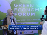 Komitmen PLN Tekan Perubahan Iklim Melalui Transisi Energi
